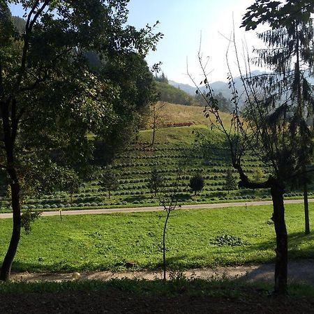 Casa Di Otello Monte San Giovanni  Экстерьер фото