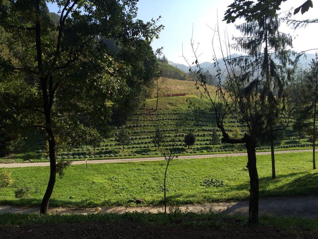 Casa Di Otello Monte San Giovanni  Экстерьер фото